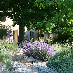 Bed & Breakfast Couleur Lavande